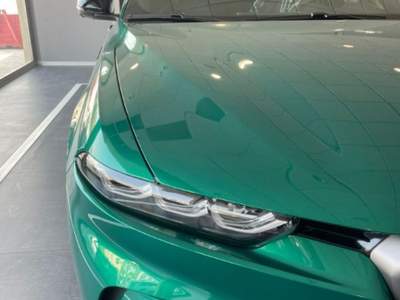 Alfa Romeo Tonale 1.3 280CV PHEV AT6 Q4 Speciale Verde usata Palermo