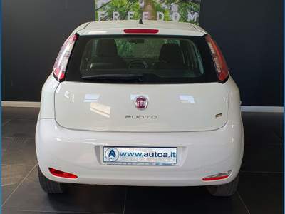 Fiat Punto 1.4 8V 5 porte Easypower Young Bianco usata Sassari