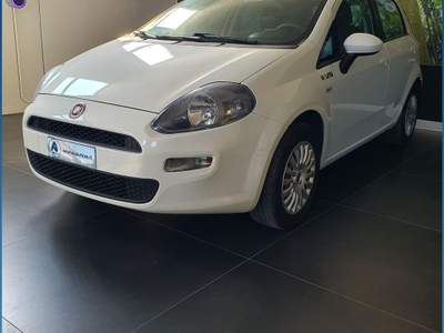 Fiat Punto 1.4 8V 5 porte Easypower Young Bianco usata Sassari