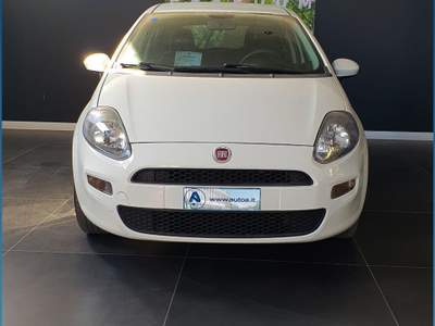 Fiat Punto 1.4 8V 5 porte Easypower Young Bianco usata Sassari