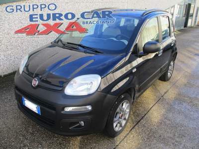 Fiat Panda 4 X 4 Blu/Azzurro usata Bracciano