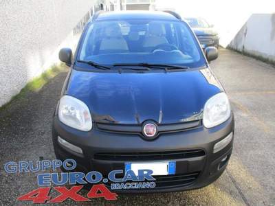 Fiat Panda 4 X 4 Blu/Azzurro usata Bracciano