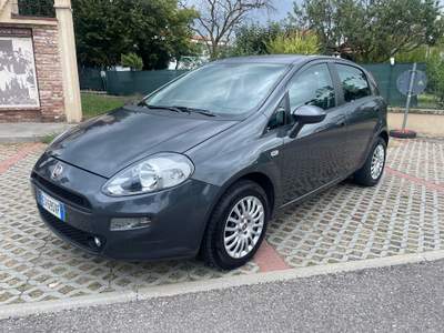 Fiat Punto PUNTO GPL DA NEO PATENTATO Grigio usata Moncalieri