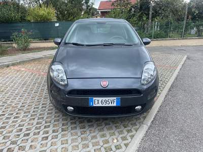 Fiat Punto PUNTO GPL DA NEO PATENTATO Grigio usata Moncalieri