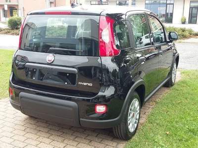 Fiat Panda 1.0 FireFly S&S Hybrid GRIGIO MAESTRO Grigio usata Alba
