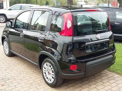 Fiat Panda 1.0 FireFly S&S Hybrid GRIGIO MAESTRO Grigio usata Alba