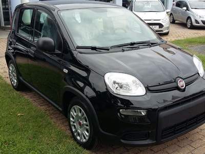 Fiat Panda 1.0 FireFly S&S Hybrid GRIGIO MAESTRO Grigio usata Alba