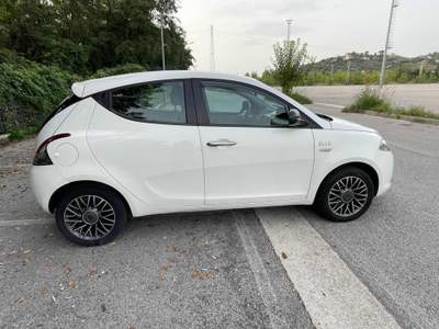 Lancia Ypsilon 1.3 MJT 16V 95 CV 5 porte S&S Elle Bianco usata AGROPOLI