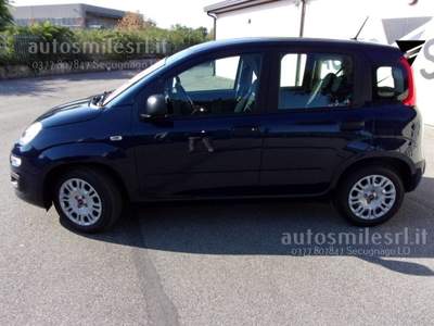 Fiat Panda 1.0 FireFly S&S Hybrid Blu/Azzurro usata SECUGNAGO