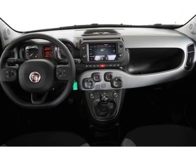 Fiat Panda 1.0 FireFly S&S Hybrid City Cross Grigio usata Castelnuovo Rangone
