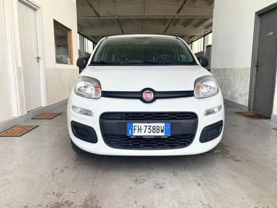 Fiat Panda Neopatentati Bianco usata Erba