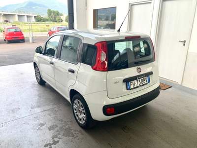 Fiat Panda Neopatentati Bianco usata Erba