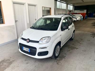 Fiat Panda Neopatentati Bianco usata Erba