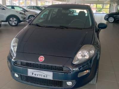 Fiat Punto 1.4 8V 5 porte Natural Power Lounge Verde usata Figline e Incisa Valdarno