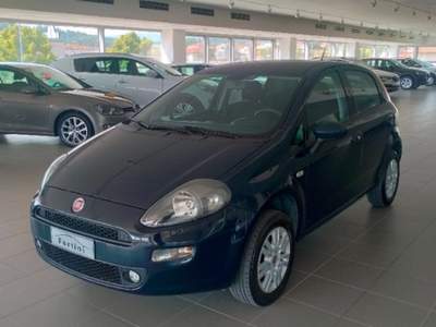 Fiat Punto 1.4 8V 5 porte Natural Power Lounge Verde usata Figline e Incisa Valdarno