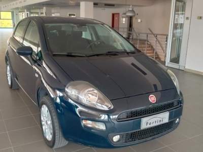 Fiat Punto 1.4 8V 5 porte Natural Power Lounge Verde usata Figline e Incisa Valdarno