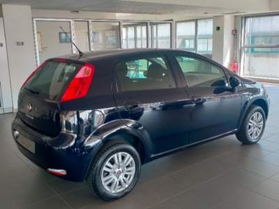 Fiat Punto 1.4 8V 5 porte Natural Power Lounge Verde usata Figline e Incisa Valdarno