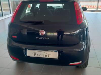 Fiat Punto 1.4 8V 5 porte Natural Power Lounge Verde usata Figline e Incisa Valdarno