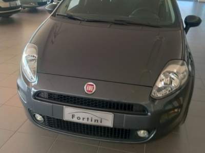 Fiat Punto 1.2 8V 5 porte Street Grigio usata Figline e Incisa Valdarno