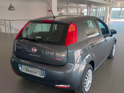Fiat Punto 1.2 8V 5 porte Street Grigio usata Figline e Incisa Valdarno