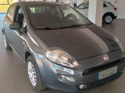 Fiat Punto 1.2 8V 5 porte Street Grigio usata Figline e Incisa Valdarno