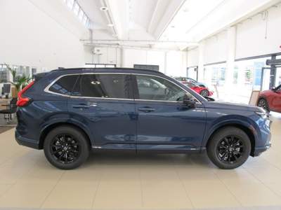 Honda CR-V 2.0 Phev Advance Tech Blu/Azzurro usata Vicenza