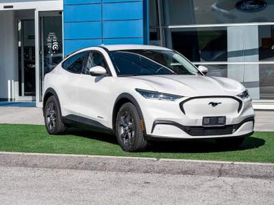 Ford Mustang Elettrico Standard 269CV Bianco usata Silea