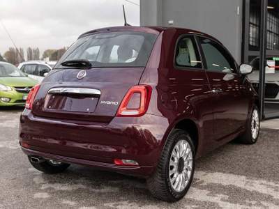Fiat 500 1.0 Hybrid Lounge Rosso usata Silea