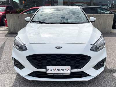 Ford Focus 1.5 EcoBlue 120 CV 5p. ST-Line Bianco usata Silea