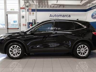 Ford Kuga 1.5 EcoBlue 120 CV aut. 2WD Titanium Nero usata Silea