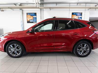 Ford Kuga 2.5 Plug In Hybrid 225 CV CVT 2WD ST-Line X PHEV Rosso usata Silea