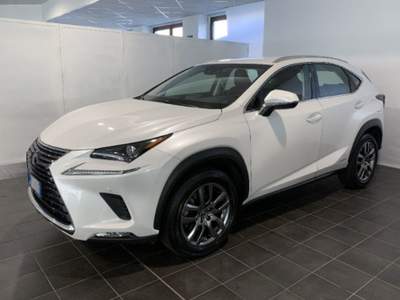 Lexus NX Hybrid Bianco usata Torino