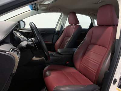 Lexus NX Hybrid Bianco usata Torino