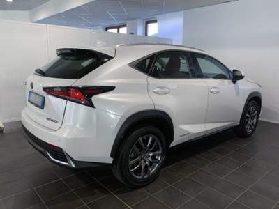 Lexus NX Hybrid Bianco usata Torino
