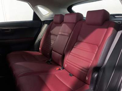 Lexus NX Hybrid Bianco usata Torino