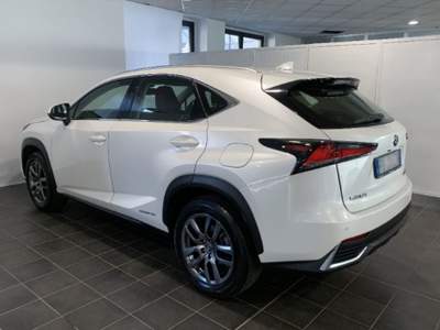 Lexus NX Hybrid Bianco usata Torino