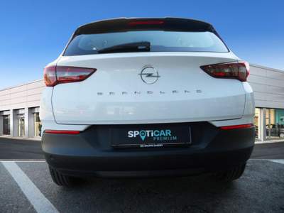 Opel Grandland 1.2 130cv MT6 Bianco usata Bologna