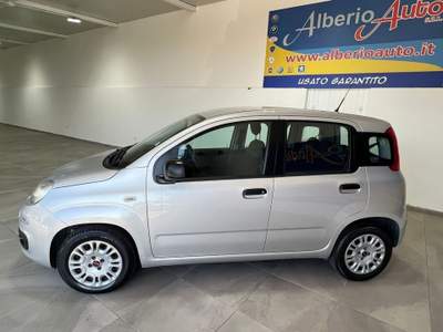 Fiat Panda 1.2 Easy Argento usata ADRANO