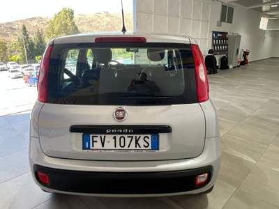 Fiat Panda 1.2 Easy Argento usata ADRANO