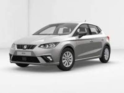 Seat Ibiza 1.0 MPI 5p. Business Argento usata Castel San Pietro Terme