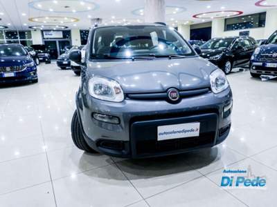 Fiat Panda 1.0 FireFly S&S Hybrid City Life Grigio usata Matera
