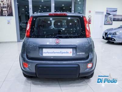 Fiat Panda 1.0 FireFly S&S Hybrid City Life Grigio usata Matera