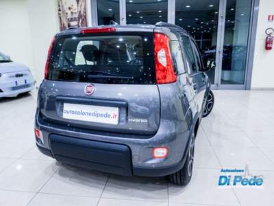 Fiat Panda 1.0 FireFly S&S Hybrid City Life Grigio usata Matera