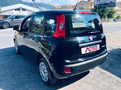 Fiat Panda 1.0 FireFly S&S Hybrid Nero usata Isernia