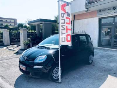 Fiat Panda 1.0 FireFly S&S Hybrid Nero usata Isernia