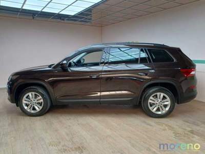 Skoda Kodiaq 2.0 TDI Executive DSG Marrone usata Faenza