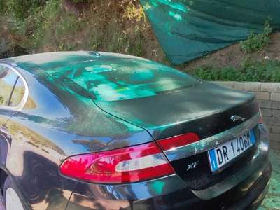 Jaguar XF X intenditori auto bellissima usata POMIGLIANO D ARCO