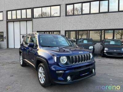Jeep Renegade 1.3 t4 150 CV Business 2WD DDCT Blu/Azzurro usata Faenza