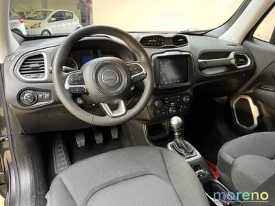 Jeep Renegade 1.0 t3 120 CV Business 2WD Navi Grigio usata Faenza