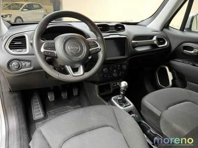 Jeep Renegade 1.0 t3 120 CV Business 2WD Navi Argento usata Faenza